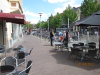 Rozenactie 2012