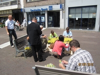 Rozenactie 2012