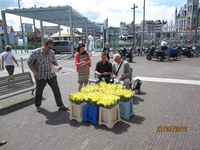 Rozenactie 2012