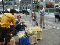 N-VA Rozenactie 2011
